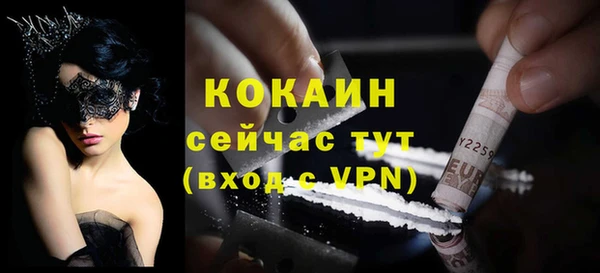 стафф Богданович