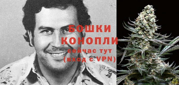 стафф Богданович