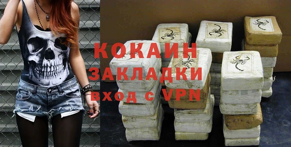 стафф Богданович
