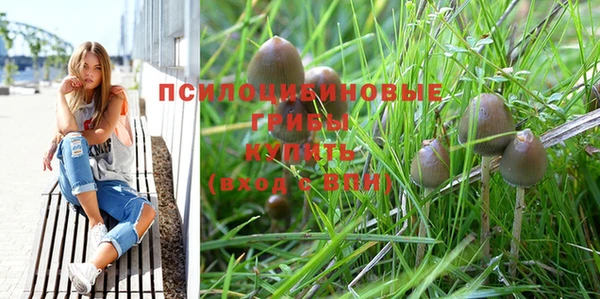 ешки Богородск