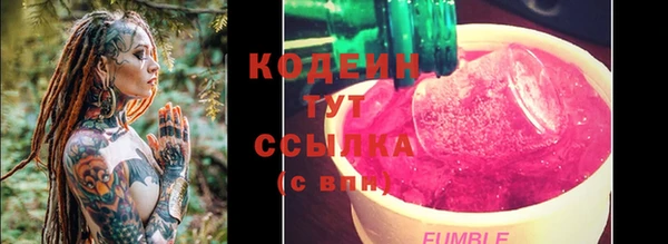 дурь Бородино