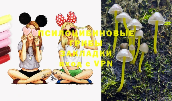 стафф Богданович