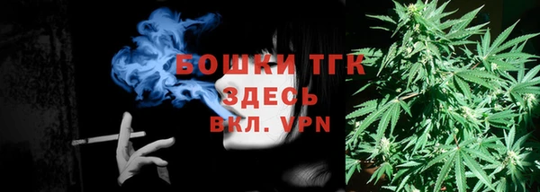 стафф Богданович